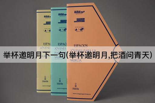 举杯邀明月下一句(举杯邀明月,把酒问青天)