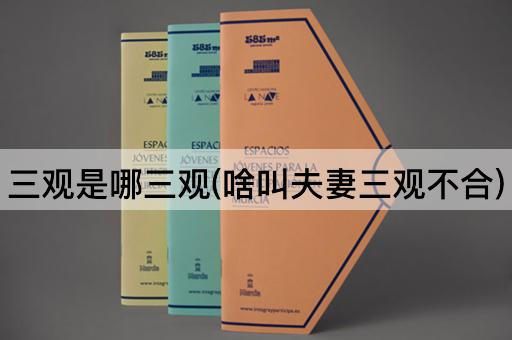 三观是哪三观(啥叫夫妻三观不合)
