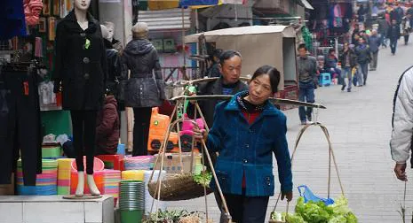 一担是多少斤(一石与一担的区别)