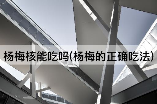 杨梅核能吃吗(杨梅的正确吃法)