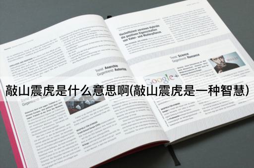 敲山震虎是什么意思啊(敲山震虎是一种智慧)