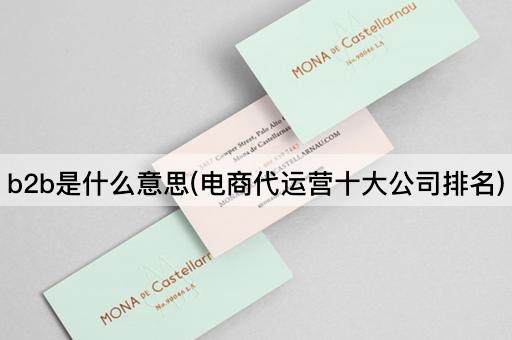 b2b是什么意思(电商代运营十大公司排名)