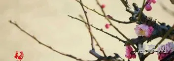 梅花三弄是什么生肖?(梅花三弄的最佳生肖)