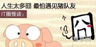 就怕猪一样的队友(有猪队友很累的句子)