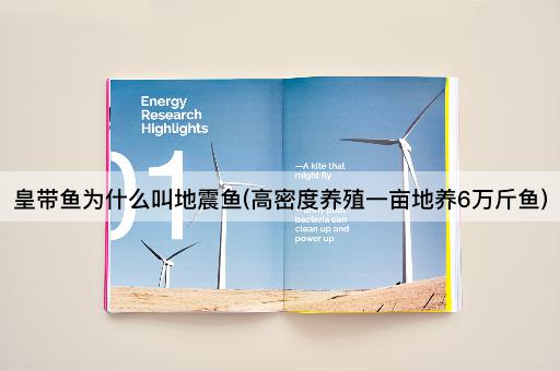 皇带鱼为什么叫地震鱼(高密度养殖一亩地养6万斤鱼)