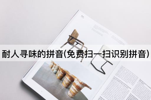 耐人寻味的拼音(免费扫一扫识别拼音)