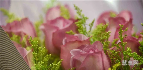 玫瑰花的价格(昆明玫瑰花批发价格表)