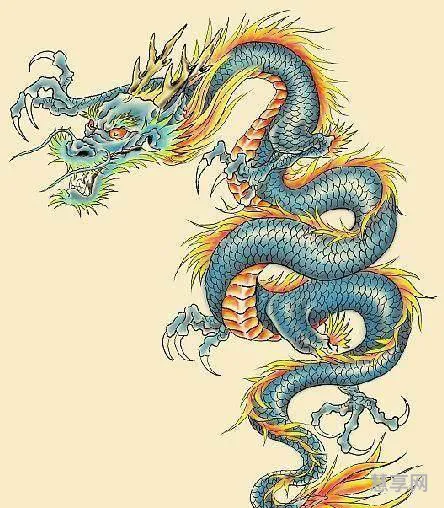 成语一龙一猪(一龙一猪打一动物)