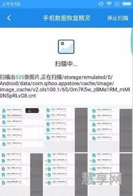 找回删除照片(照片恢复大师免费版)