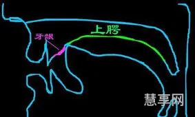 什么是平舌音和翘舌音(6个平舌音8个翘舌音表)