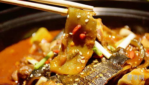 裙边肉是什么(裙边肉是哪个部位)