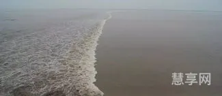 钱塘潮的形成(钱塘江大潮是怎样产生的)
