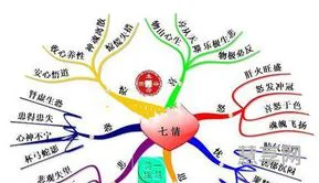 什么是七情六欲(六欲是指哪六欲)