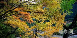 九寨沟在四川哪(四川九寨沟几月份去最好)