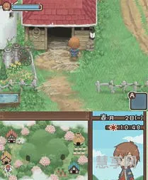 牧场物语双子村结婚(双子村料理菜谱)