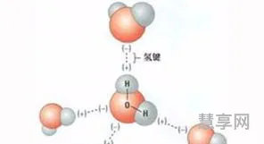 氢键是不是化学键(氢键属于什么键)