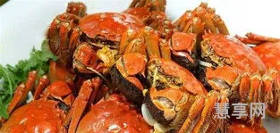 螃蟹配什么吃(下章鱼)