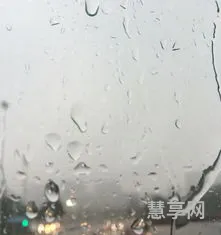 下雨天了怎么办(女生说下雨天怎么办高情商回复)
