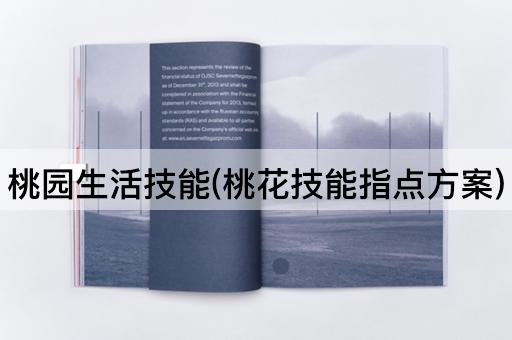 桃园生活技能(桃花技能指点方案)