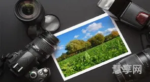 单反摄影入门(单反相机入门教程图解)