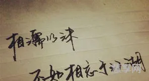 意志坚强的名言(意志力的经典语录)