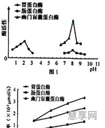 色氨酸合成酶a蛋白质(氨基酸是21种还是20种)