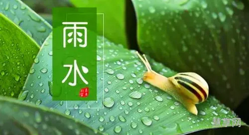 雨水有三候是什么(节气中的三候是什么意思)