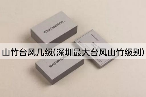 山竹台风几级(深圳最大台风山竹级别)
