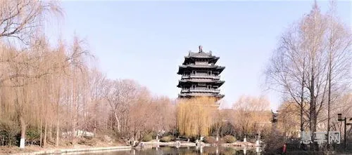 济南为什么叫泉城(济南又名泉城)