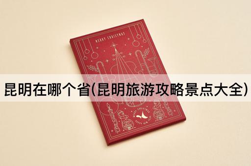 昆明在哪个省(昆明旅游攻略景点大全)