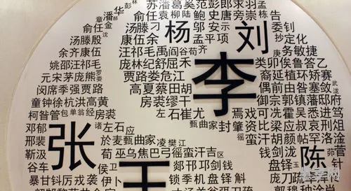 小姓是什么意思(大姓跟小姓有什么区别)