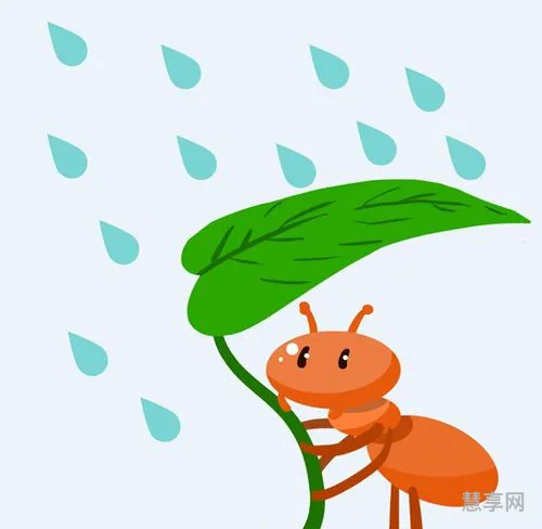蚂蚁搬家要下雨(哪些小动物知道要下雨了)