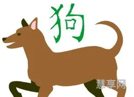 82年属什么(82年属狗41岁有一灾)