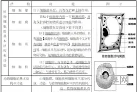 初一生物上册知识点(七年级上册生物知识点总结免费)