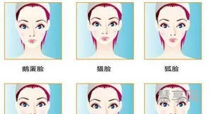 什么是鹅蛋脸(测一下自己的脸型)
