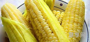 玉米煮多久就熟了(玉米冷水下锅煮10分钟能熟吗)