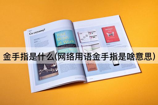 金手指是什么(网络用语金手指是啥意思)