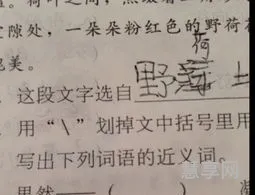 高明的近义词是什么(高明近意词)