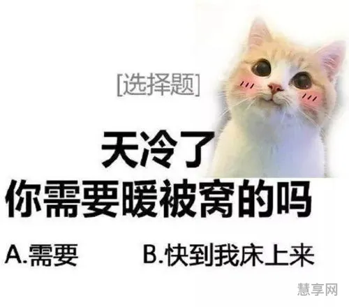 天气冷怎么发朋友圈(天气冷了的高情商短句)