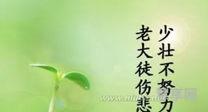 关于珍惜时间的格言(小学生十句珍惜时间)