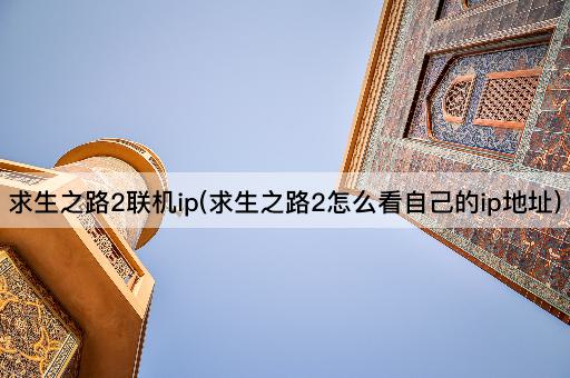 求生之路2联机ip(求生之路2怎么看自己的ip地址)
