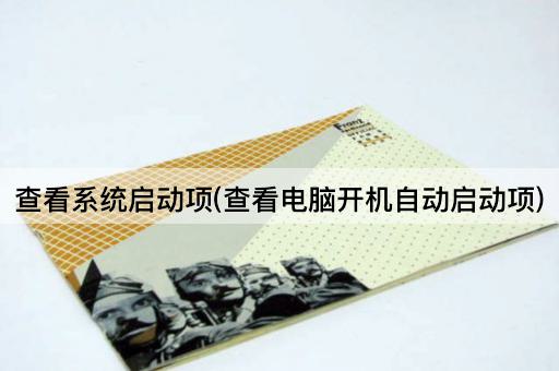 查看系统启动项(查看电脑开机自动启动项)