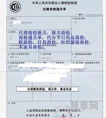 出境货物通关单(出口通关单在哪里办理)