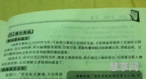 扁鹊治病的寓意(扁鹊治病明白了什么道理)