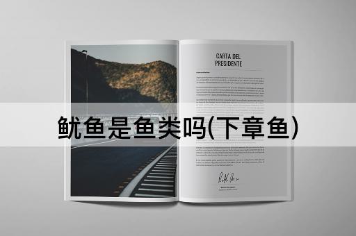 鱿鱼是鱼类吗(下章鱼)