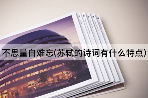 不思量自难忘(苏轼的诗词有什么特点)
