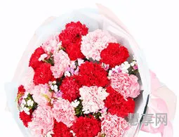 送老师什么花的简单介绍(送老师的八种礼品)