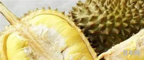 榴莲不熟要怎么放才能熟(剥出来的榴莲肉硬硬的不熟怎么办)