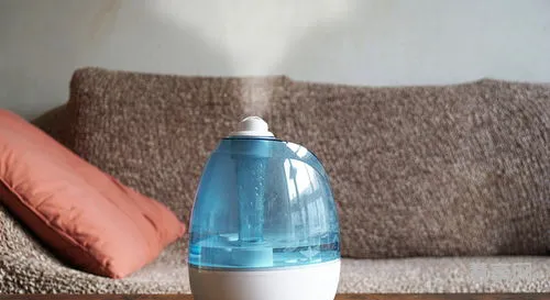 加湿器有什么作用(使用加湿器的好处与坏处)