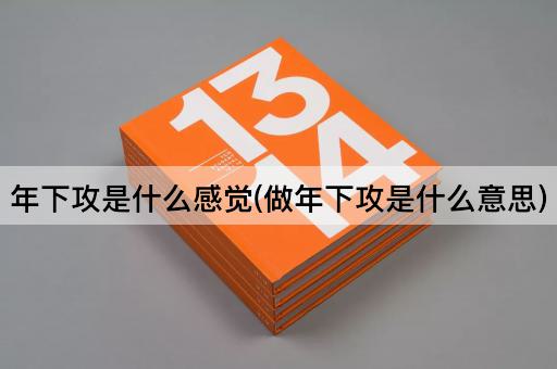 年下攻是什么感觉(做年下攻是什么意思)